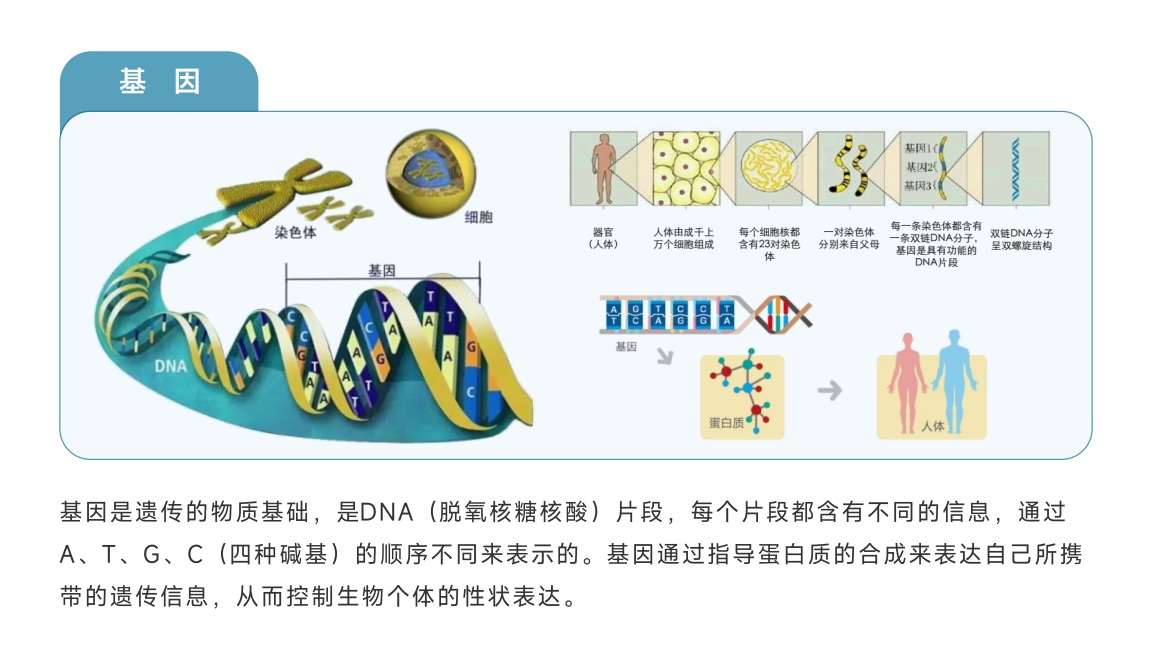 微信图片_20241024162720.jpg